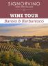 WINE TOUR. Barolo & Barbaresco