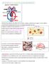 ARTERIE:sono i vasi in uscita dal cuore indipendentemente dal tipo di sangue che queste contengono. VENE: sono i vasi in entrata nel cuore.