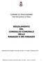 REGOLAMENTO DEL CONSIGLIO COMUNALE DELLE RAGAZZE E DEI RAGAZZI