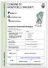 VAS ALL_VAS_01. Pagina 1 di 384. MONTICELLI BRUSATI Valutazione Ambientale Strategica -Rapporto Ambientale-