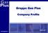 Gruppo Gas Plus. Company Profile. Giugno 2017*