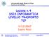 Lezione n.4 LIVELLO TRASPORTO TCP