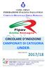 CONI - FIPAV FEDERAZIONE ITALIANA PALLAVOLO. Stagione Agonistica