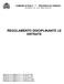 COMUNE DI DOLO *** PROVINCIA DI VENEZIA Via Cairoli n. 39 C.A.P Dolo (VE) REGOLAMENTO DISCIPLINANTE LE ENTRATE