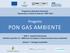 Programma Operativo Nazionale Governance e Azioni di Sistema Progetto PON GAS AMBIENTE