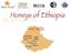 Il progetto Mieli d'etiopia