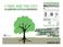 I-TREE Tools for Assessing and Managing Community Forests Strumenti per la valutazione e la gestione delle foreste comunitarie