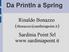 Da Println a Spring. Rinaldo Bonazzo Sardinia Point Srl