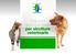 Soluzioni tecnosanitarie per strutture veterinarie