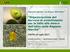 Organizzazione del Servizio di avvertimento per la lotta alla mosca dell olivo nella Regione Marche