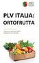 PLV ITALIA: ORTOFRUTTA. DATI AGGIORNATI AL 2013 Il panorama ortofrutticolo italiano delineato da CSO sui dati INEA.