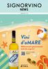 NEWS ANNO N 16. Vini d amare. Abbinamenti gastronomici tutti da scoprire! Scarica la versione digitale!