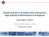 Aspetti sistemici e normativi nella realizzazione degli impianti di illuminazione di emergenza. Giuseppe Cafaro. Comitato Elettrotecnico Italiano