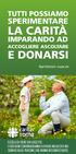 LA CARITÀ E DONARSI SPERIMENTARE IMPARANDO AD TUTTI POSSIAMO ACCOGLIERE ASCOLTARE SCEGLI DI FARE UN LASCITO.