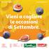 Vieni a cogliere le occasioni di Settembre.