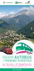 ORARI AUTOBUS ALTA VALLE CAMONICA E TRENINO TURISTICO. Provincia di Brescia