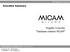 Executive Summary. Progetto Cruscotto Database visitatori MICAM. ANCI Servizi Srl - Maggio TOP PERFORMANCE CONSULTING Srl - Ing.