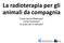 La radioterapia per gli animali da compagnia. Come viene effettuata? Come funziona? In quali casi é indicata?