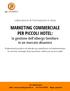 MARKETING COMMERCIALE PER PICCOLI HOTEL: