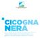 Status della Cicogna nera (Ciconia nigra)e linee guida per la conservazione della specie in Italia.