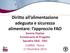 Diritto all alimentazione adeguata e sicurezza alimentare: l approccio FAO Serena Pepino Funzionario di Progetto Squadra DAA - FAO LUMSA - Roma 17