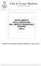 Città di Cesano Maderno REGOLAMENTO PER LA DISCIPLINA DELL IMPOSTA MUNICIPALE PROPRIA (I.M.U.)