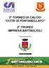 3 TORNEO DI CALCIO CITTA DI FONTANELLATO 3 TROFEO IMPRESA BATTAGLIOLI. Con il patrocinio del