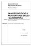 QUADRO INCIDENZA PERCENTUALE DELLA MANODOPERA Consolidamento e adeguamento Ponte Torrente Gogna al Km della S.P.