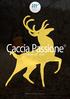 MEDIA REPORT. Caccia Passione MEDIA KIT