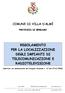 REGOLAMENTO PER LA LOCALIZZAZIONE DEGLI IMPIANTI DI TELECOMUNICAZIONE E RADIOTELEVISIONE