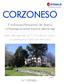 CORZONESO. 7 ½-Zimmer-Patriziervilla inkl. Rustico. mit Parkanlage und schöner Aussicht an idyllischer Lage ...