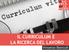 IL CURRICULUM E LA RICERCA DEL LAVORO. Vincenzo Bianculli