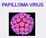 CARATTERISICHE DELL HPV