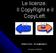 Le licenze. Il CopyRight e il CopyLeft. Stefano Floris