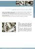 main components in overpressure valves for electric water heaters _ elementi costitutivi nelle valvole di sicurezza per scaldacqua elettrici