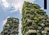 PERIODICO IMMOBILIARE N.11 IN PRIMO PIANO BOSCO VERTICALE BILOCALE DI PREGIO