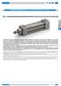 2-17 CILINDRI INOX A NORME ISO ISO STANDARD STAINLESS STEEL CYLINDERS