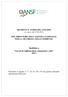 DECRETO N. 15/2010 DEL 13/12/2010 «in vigore dal » DEL DIRETTORE DELL AGENZIA NAZIONALE PER LA SICUREZZA DELLE FERROVIE