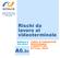 A6.2c. Rischi da lavoro al videoterminale. CORSO DI FORMAZIONE RESPONSABILI E ADDETTI SPP EX D.Lgs. 195/03. MODULO A Unità didattica