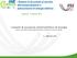 I sistemi di accumulo elettrochimico di energia Costi e benefici delle applicazioni a livello di utente finale L. Mazzocchi