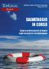 SALVATAGGIO IN CORSO. Review. Studi e professionisti al lavoro sugli accordi di ristrutturazione RICERCA CRISI E RISTRUTTURAZIONI. febbraio/marzo 2018