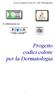 Progetto codici colore per la Dermatologia. In collaborazione con. Specialistica Ambulatoriale Anno 2004 AUSL ASMN FIMMG Reggio Emilia