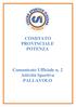 COMITATO PROVINCIALE POTENZA. Comunicato Ufficiale n. 2 Attività Sportiva PALLAVOLO