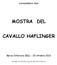 MOSTRA DEL CAVALLO HAFLINGER