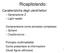 Ricapitolando: Caratteristiche degli utenti/lettori. Generazione Z Light reader. Comprensione come processo complesso Schemi Disattenzione