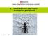 Settore Fitosanitario e servizi tecnico-scientifici. IL TARLO ASIATICO DEL FUSTO Anoplophora glabripennis