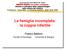 La famiglia incompleta: la coppia infertile