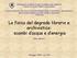 La fisica del degrado librario e archivistico: scambi d acqua e d energia