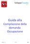 Guida alla. Compilazione della domanda Occupazione