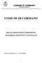COMUNE DI CORMANO PROVINCIA DI MILANO COMUNE DI CORMANO REGOLAMENTO PER IL SERVIZIO DI TRASPORTO SOGGETTI SVANTAGGIATI